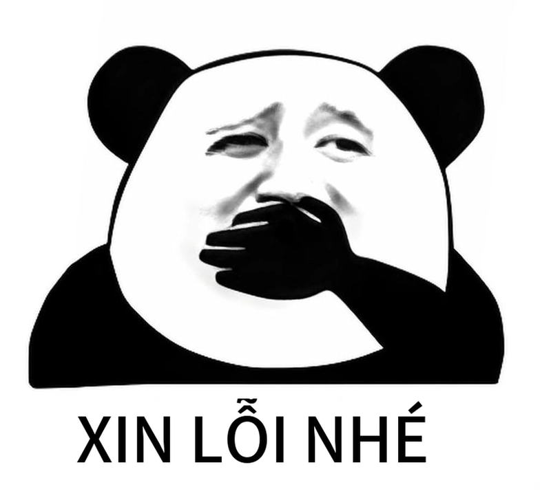 Gấu trúc xin lỗi meme độc đáo