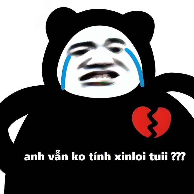 Gấu trúc xin lỗi meme siêu dễ thương