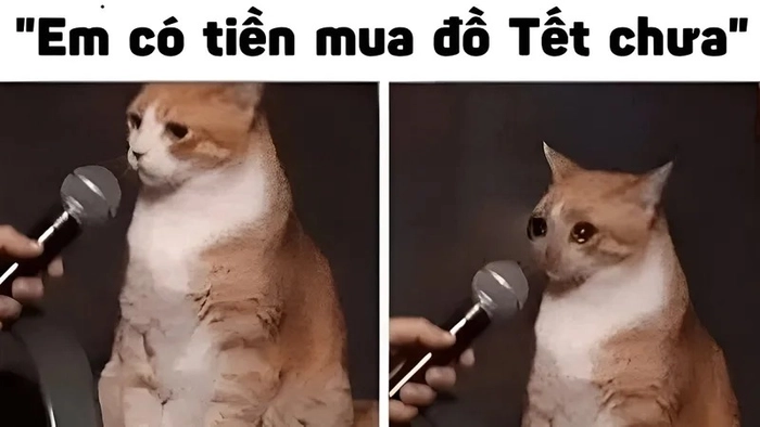 Hết tiền meme cực gắt
