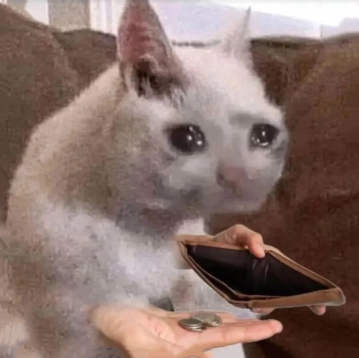 Hết tiền meme cười ra nước mắt