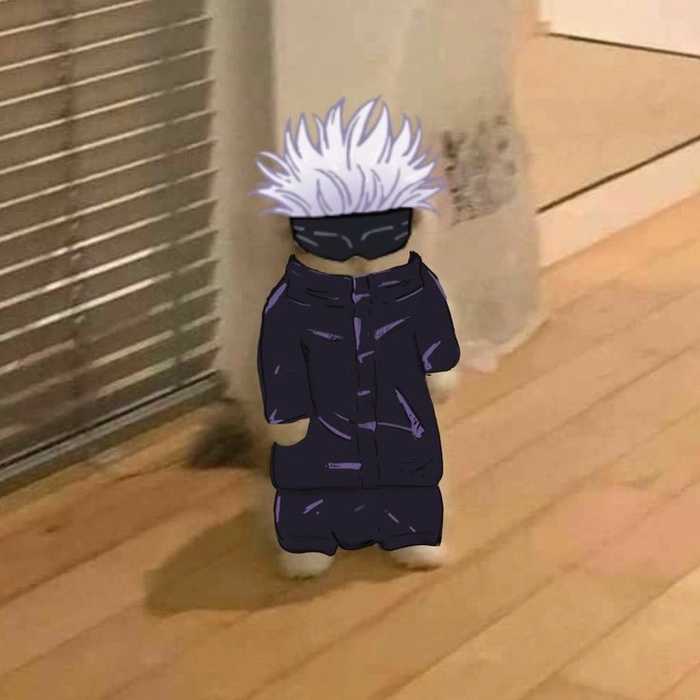 Hình Gojo meme chế vui