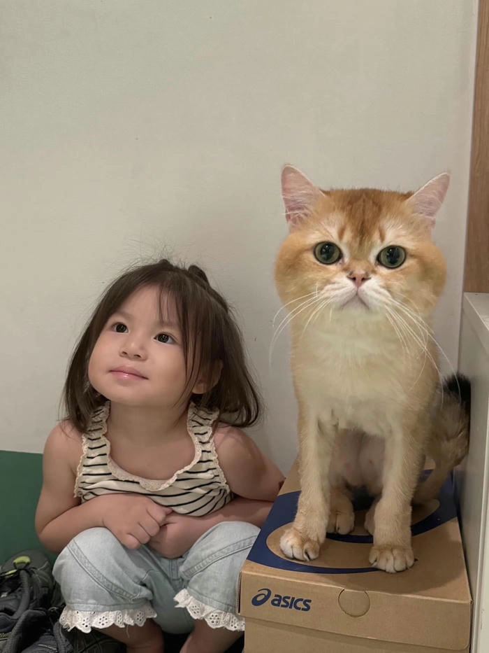 Hình ảnh bé Pam cute vui vẻ