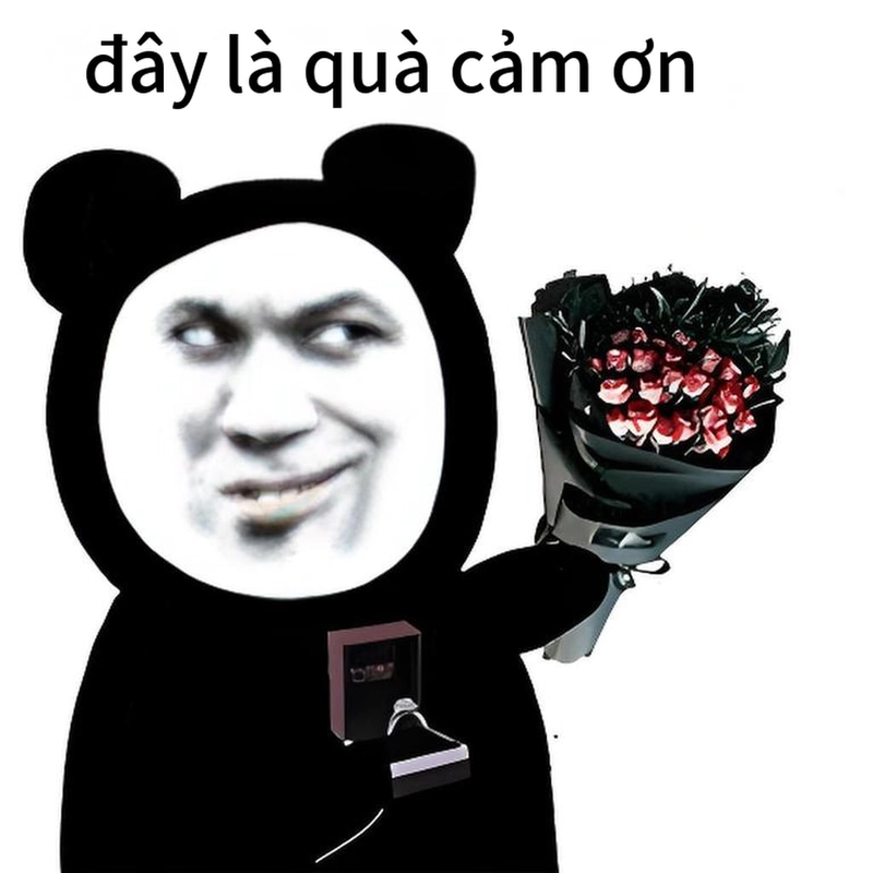 Hình ảnh meme gấu trúc cảm ơn hot