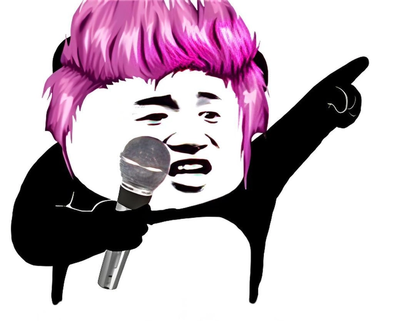 Hình ảnh meme gấu trúc slay