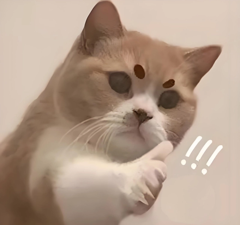 Hình ảnh meme like vui nhộn