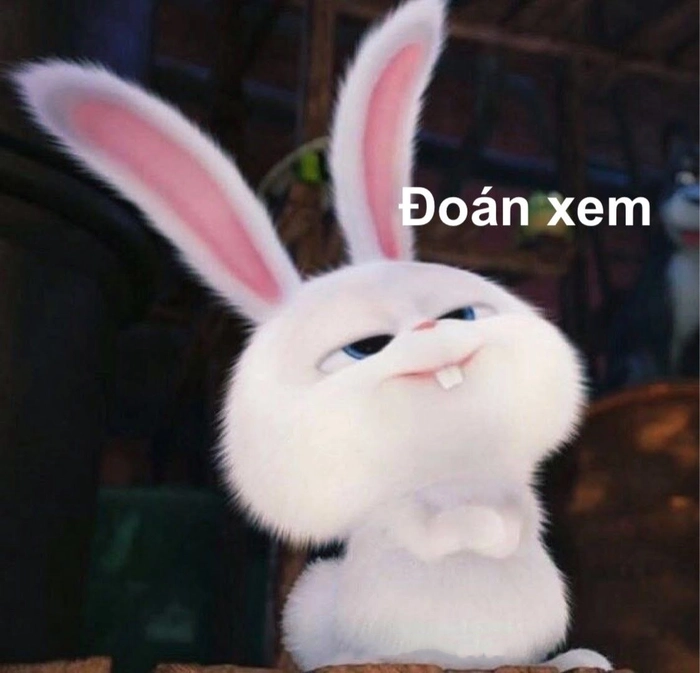 Hình ảnh thỏ Snowball dễ thương vui nhộn