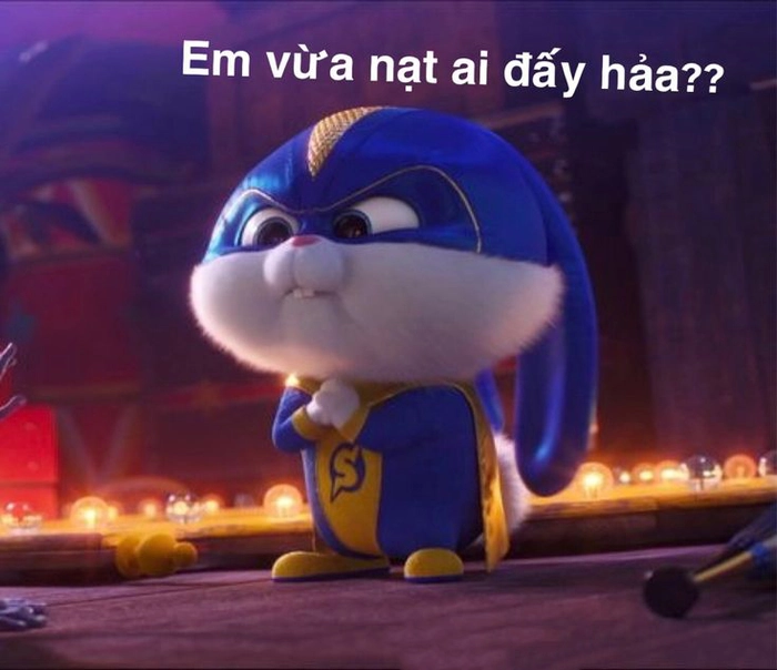 Hình ảnh thỏ Snowball meme hài chất