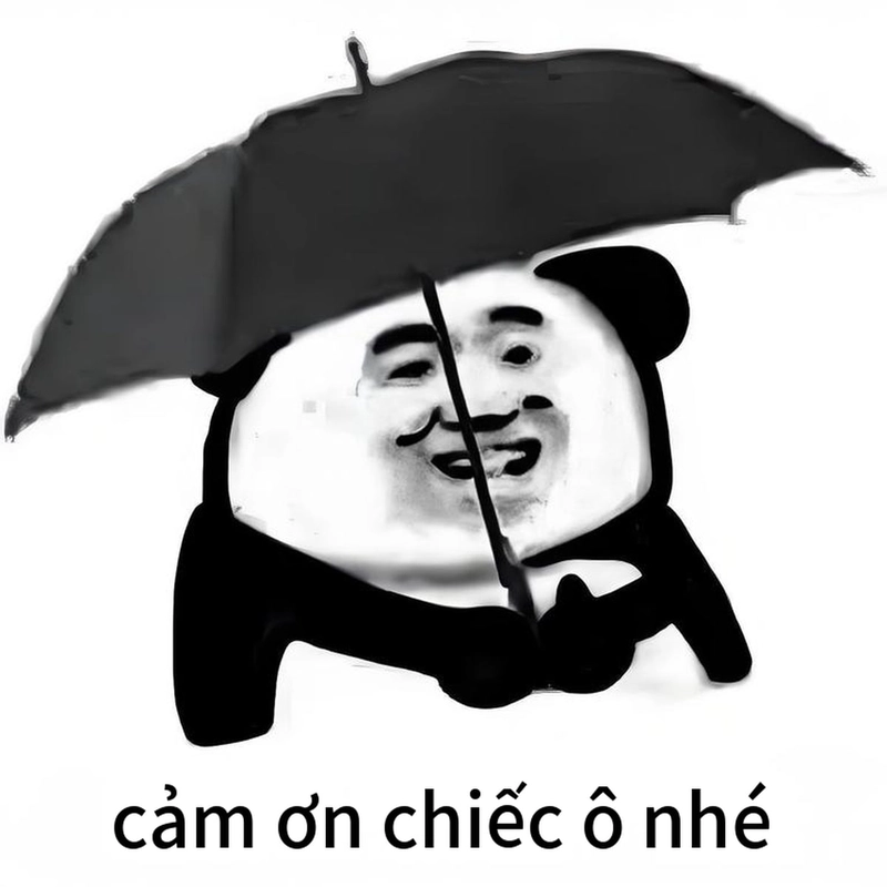 Hình chế meme gấu trúc cảm ơn bá đạo