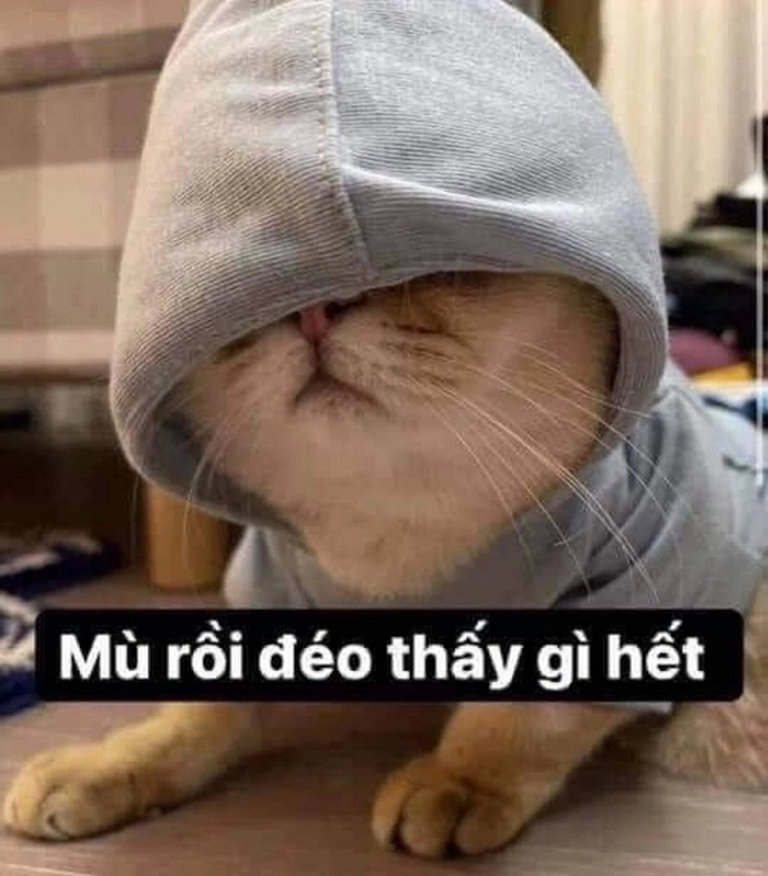 Hình meme hết cứu cực hài