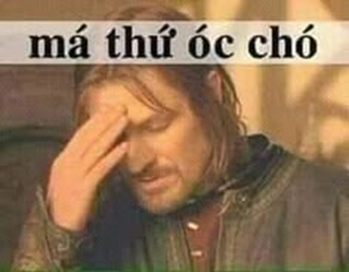 Hình meme óc chó hài lầy