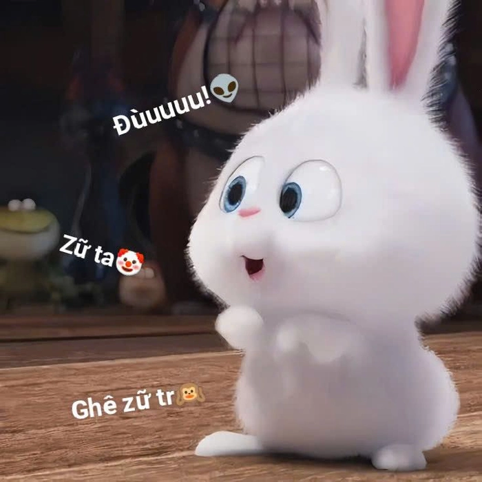 Hình thỏ Snowball dễ thương ngộ nghĩnh