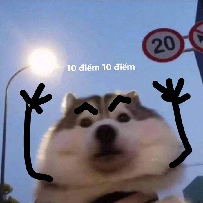Meme 10 điểm cười bể bụng