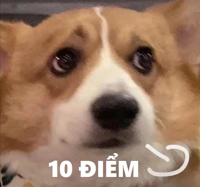 Meme 10 điểm hài hước