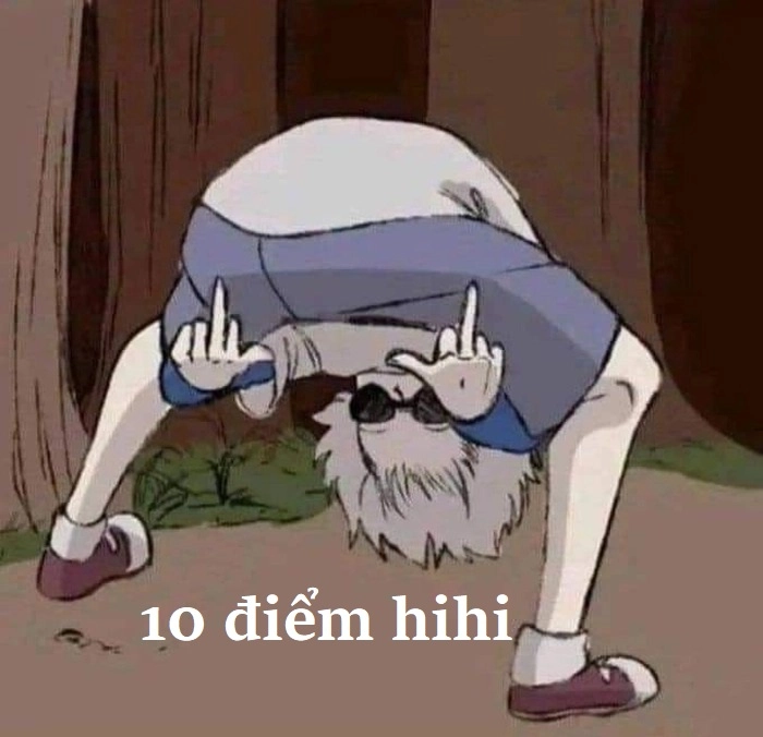 Meme 10 điểm mèo đáng yêu vui nhộn