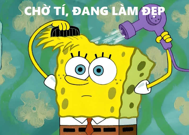 Meme Bọt Biển hài hước