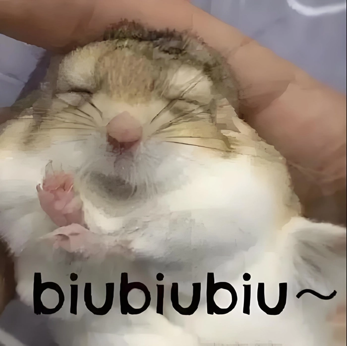 Meme ảnh chuột hamster hài hước lầy lội
