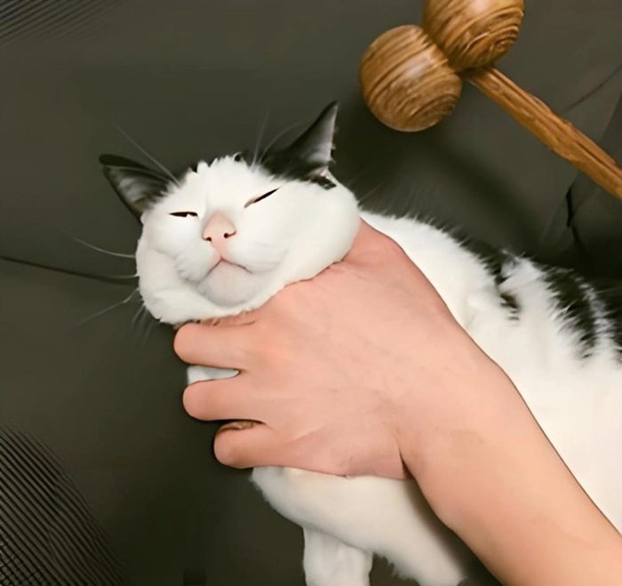 Meme bóp cổ hài hước