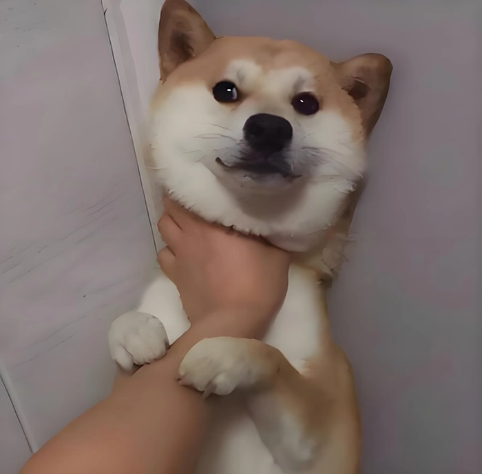 Meme bóp cổ lầy lội khó đỡ