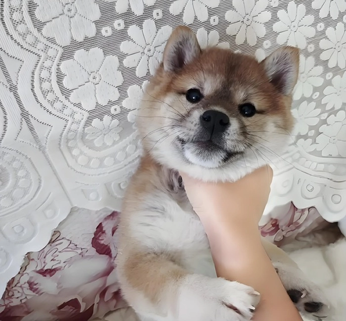 Meme bóp cổ thằng bé buồn cười
