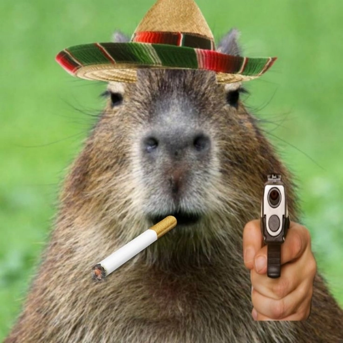 Meme capybara cầm dao độc đáo