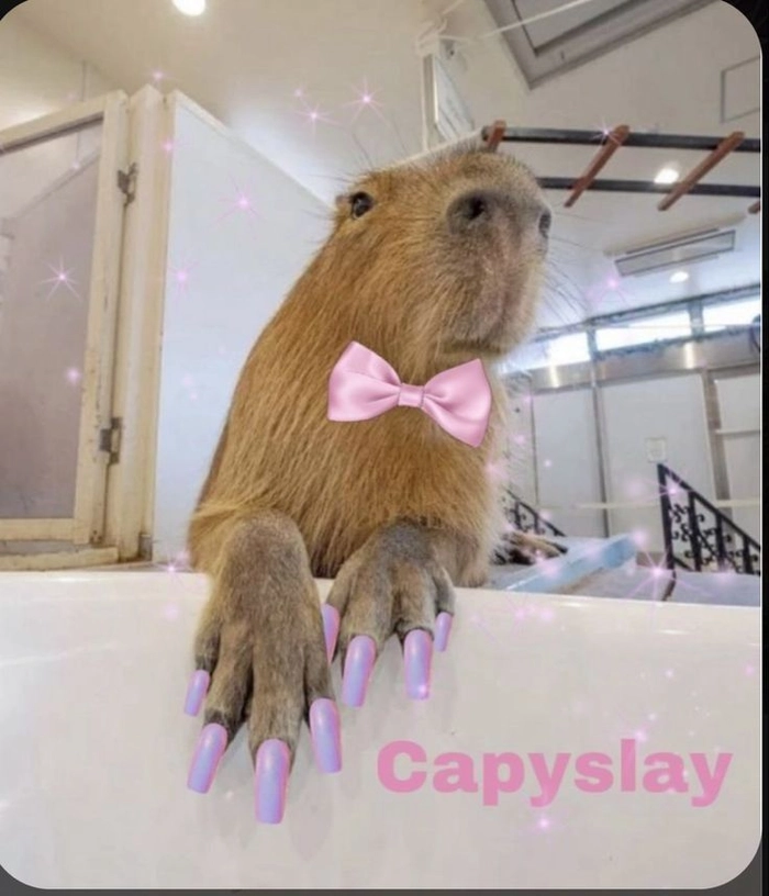 Meme capybara cầm dao hài hước