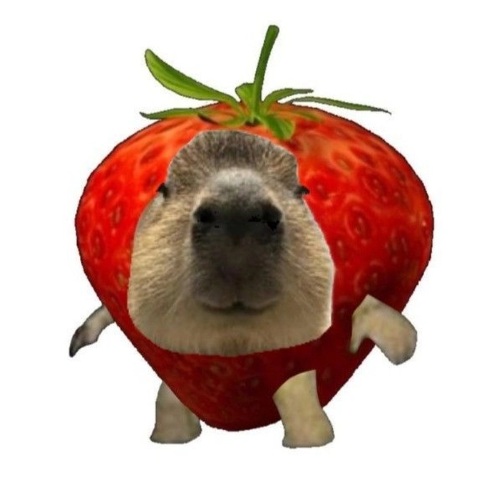 Meme capybara hét bá đạo