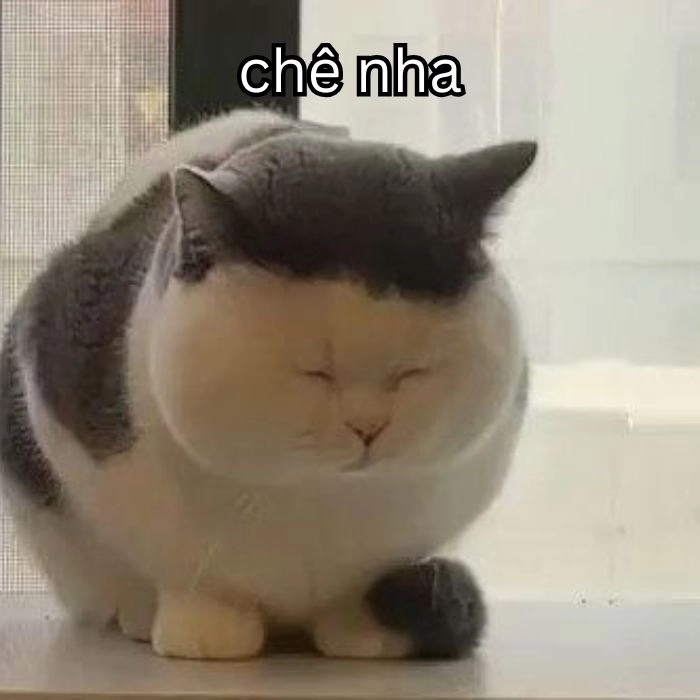 Meme chê troll cười không nhặt mồm