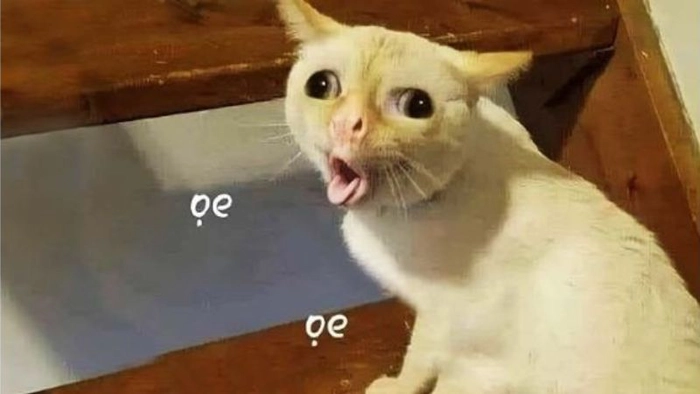 Meme chê xấu cực gắt