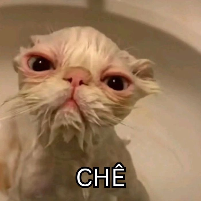 Meme chê xấu hài khó đỡ