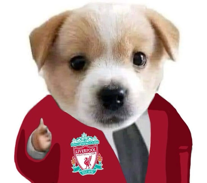 Meme chó mặc vest “quý ông”