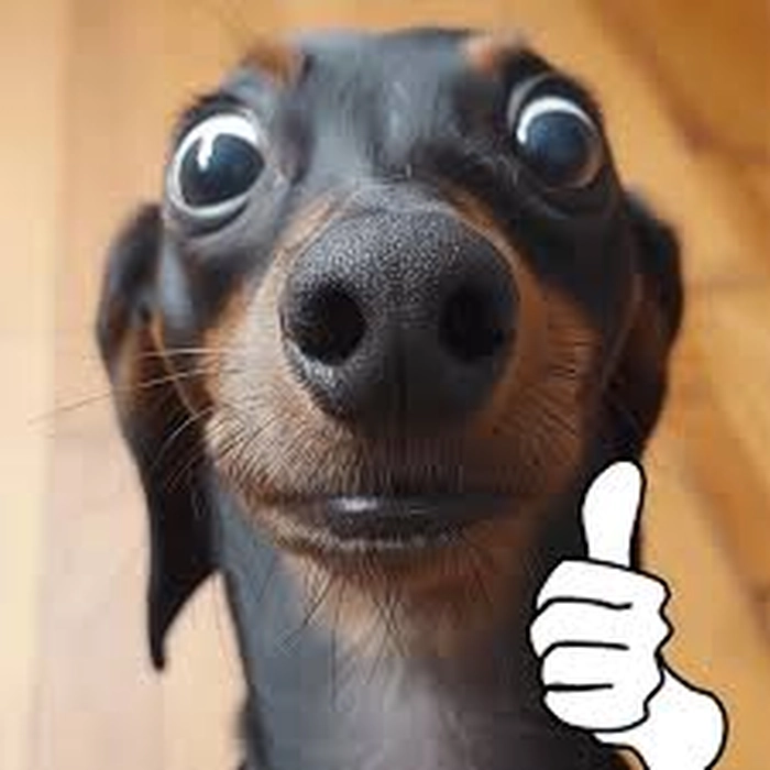 Meme chó thả like bá đạo cực