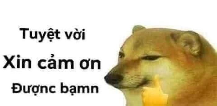 Meme chó vui cười bất tận