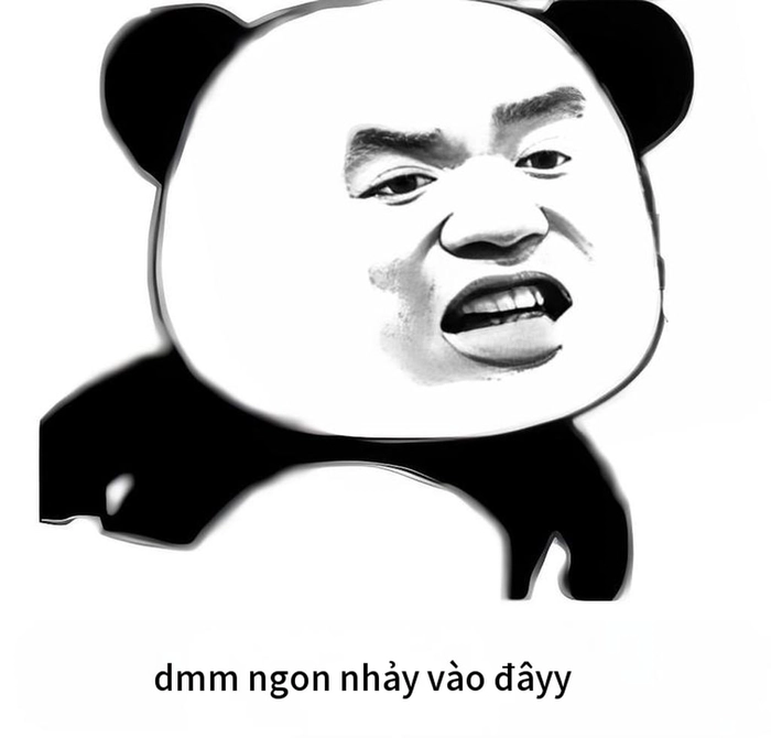 Meme chửi ngu lầy lội