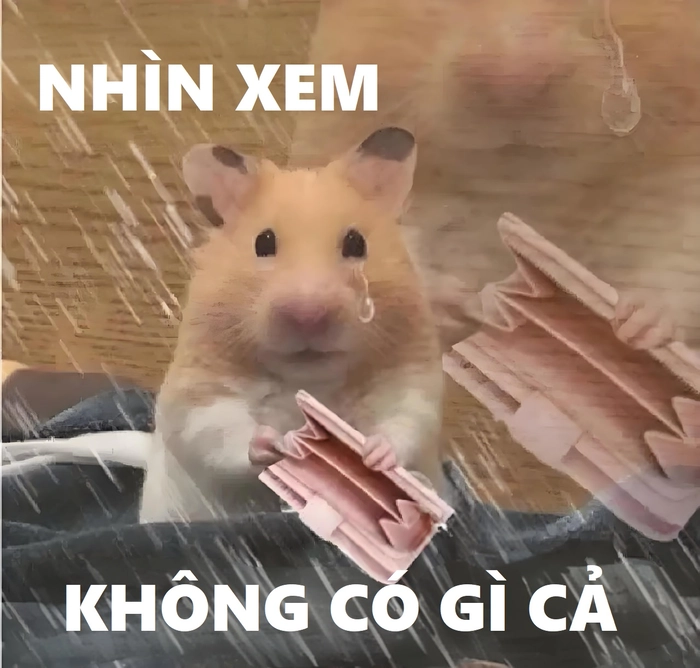 Meme chuột hamster hài troll cực mạnh