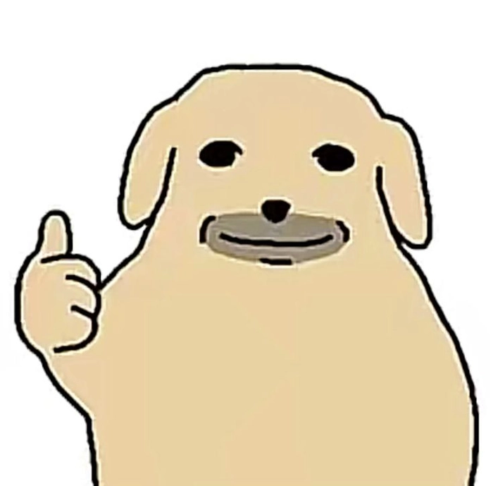 Meme con chó áo rách cute