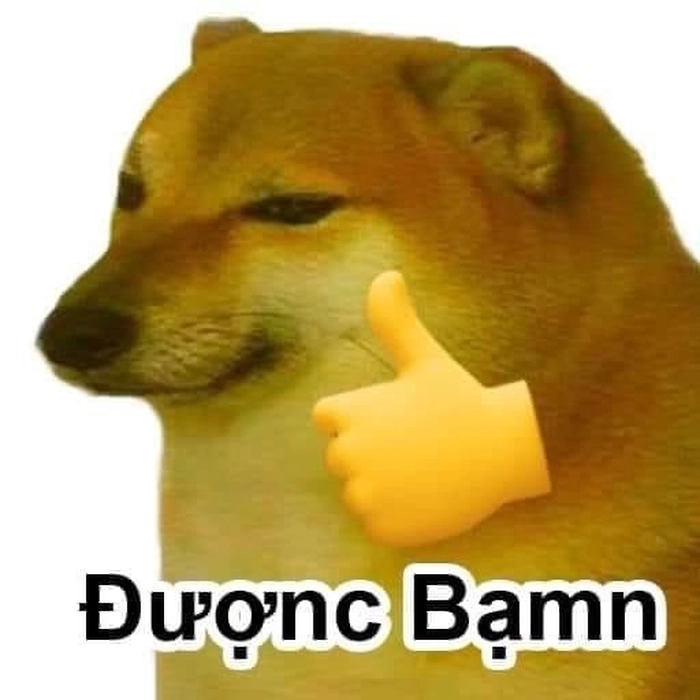 Meme con chó like đáng yêu cực