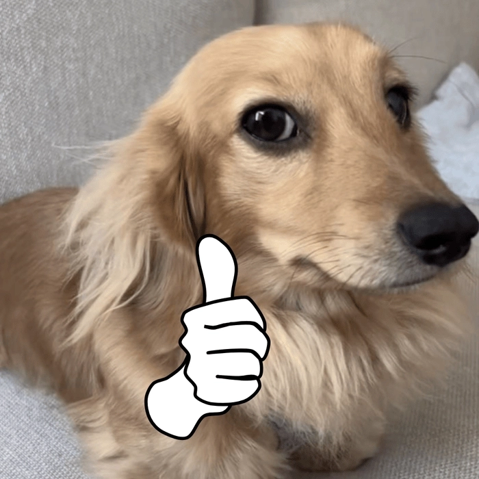 Meme con chó like siêu hài hước