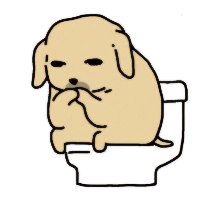 Meme con chó mặc áo rách bá đạo