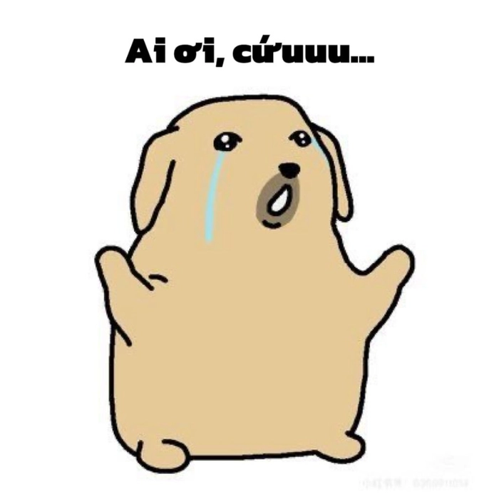 Meme con chó nghèo biểu cảm hài