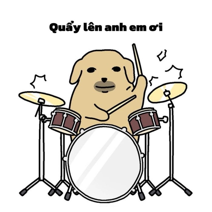 Meme con chó nghèo khổ vui nhộn