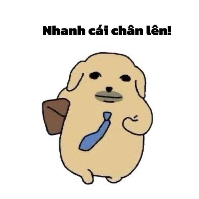Meme con chó rách rưới vui nhộn