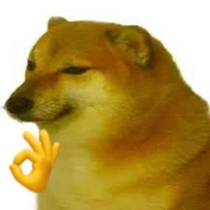 Meme con chó tinh nghịch