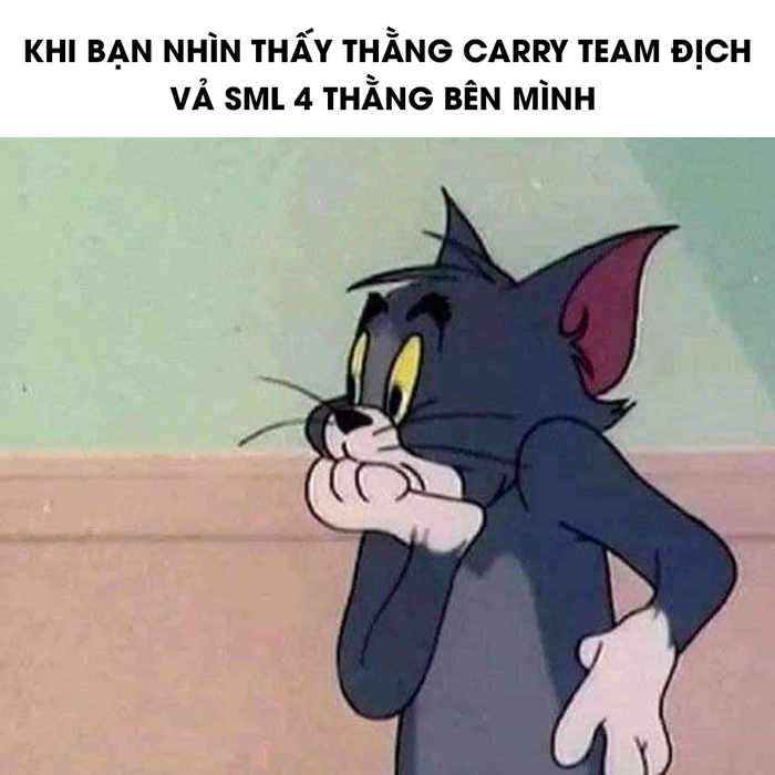 Meme con mèo sợ hãi siêu hot