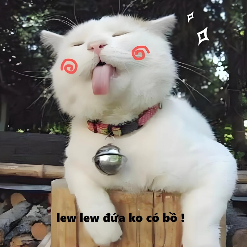 Meme đáng yêu cực hài hước