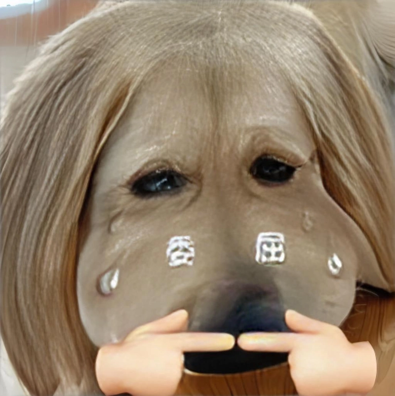 Meme đáng yêu dễ thương bá đạo