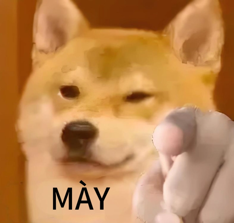 Meme đáng yêu phiên bản mới