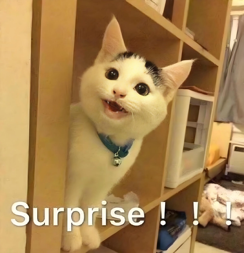 Meme đáng yêu vui nhộn