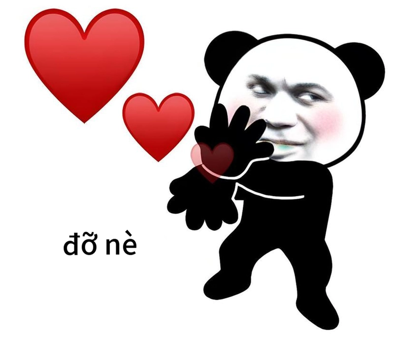 Meme gấu trúc bắn tim hot trend