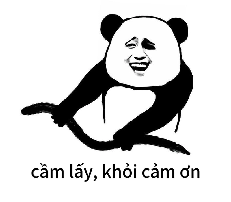 Meme gấu trúc cảm ơn chế vui
