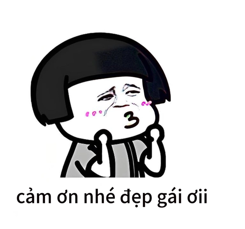 Meme gấu trúc cảm ơn hài hước